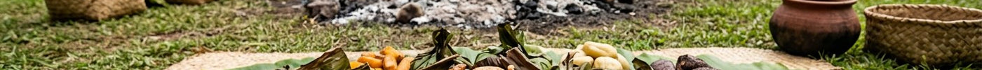 Traditional Fijian lovo feast with palusami, lovo chicken, pork, dalo, cassava and kumala laid on banana leaves beside a steaming earth oven