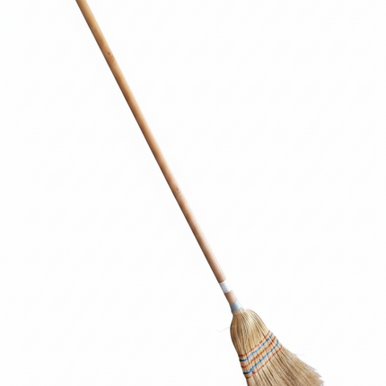 Indian Broom
