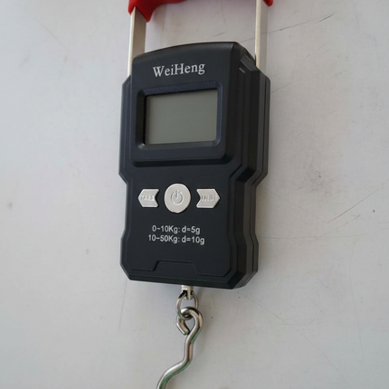 Luggage Scale